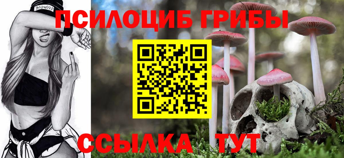 Галлюциногенные грибы GOLDEN TEACHER  Вход с VPN  Волжский 